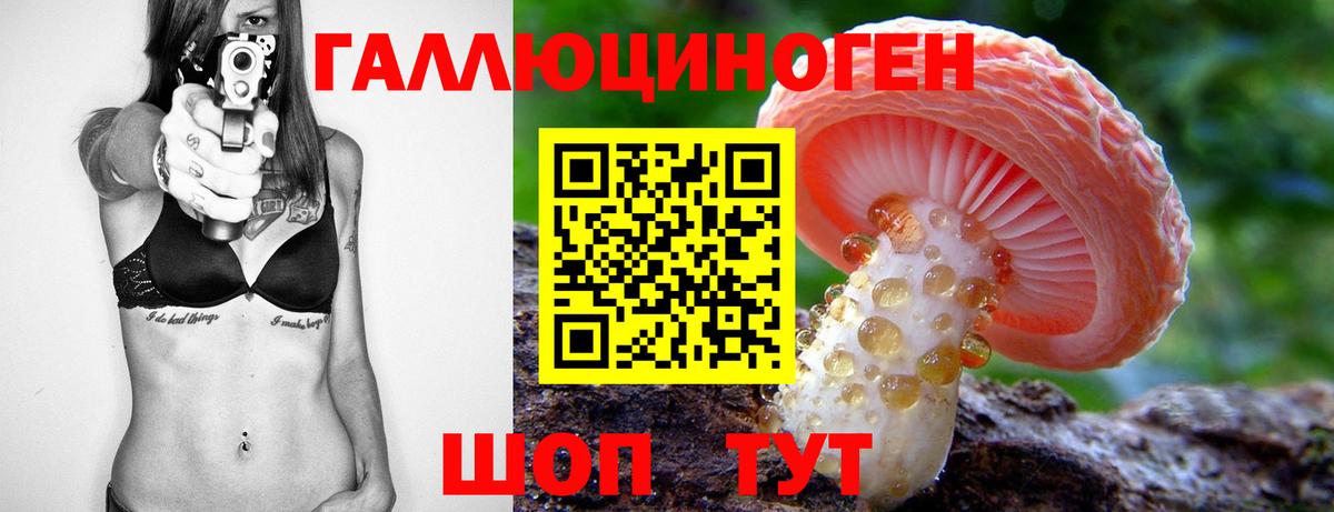 Фурманов  закладки  Вход с VPN  Галлюциногенные грибы GOLDEN TEACHER 